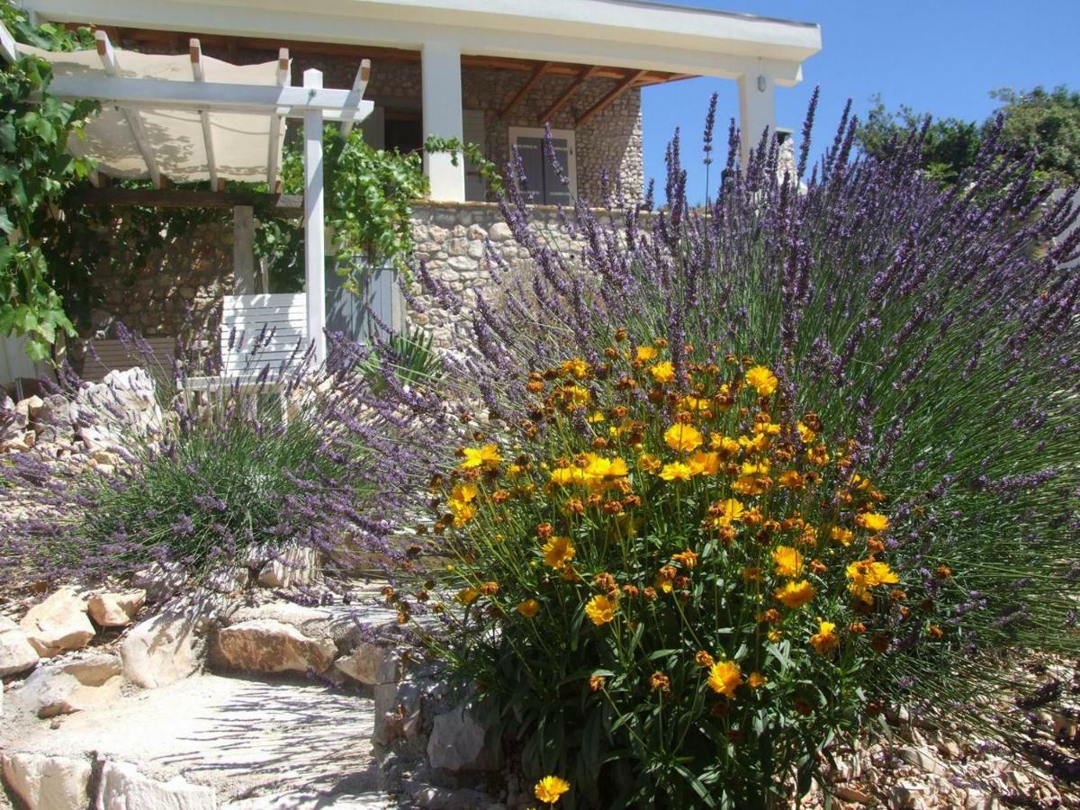 Stone House Marina-Sevid, 1 House-1 Apartment Exterior foto